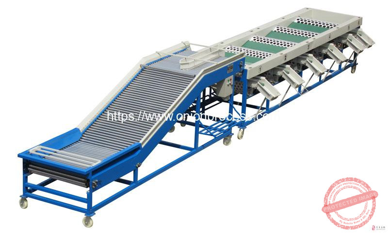 Big-Hopper-Onion-Size-Grading-Sorting-Machine